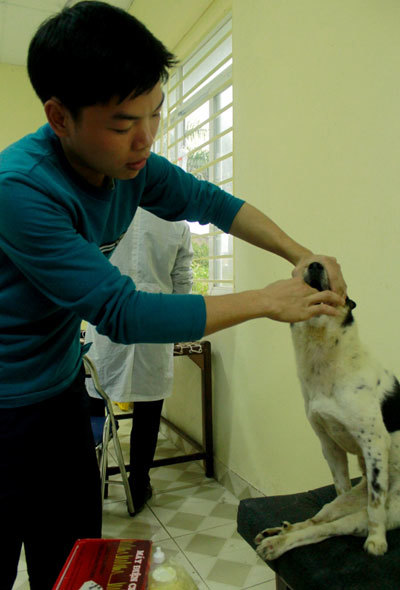 Bệnh viện chó mèo đặc biệt ở Hà thành