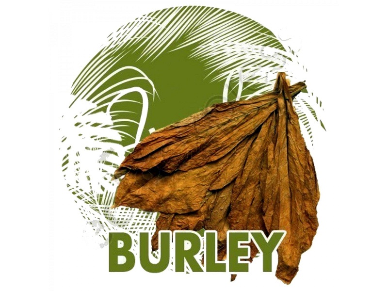Burley Tobacco La Gi