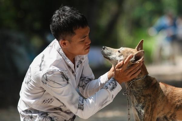Cách huấn luyện chó Phú Quốc khi còn nhỏ