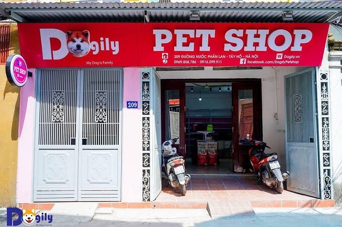 Cửa hàng của Dogily Petshop tại Tây Hồ, Hà Nội. Bạn có thể dễ dàng giao dịch mua bán chó Samoyed cả ở Tphcm và Hà Nội hoặc online.